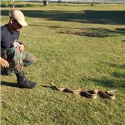 Aulas de ciências e biologia online e reforco nas referidas materias