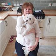 Mrs Oonagh Patricia Wood
