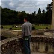 Offro ripetizioni online o di persona a studenti di medie e superiori che hanno bisogno di un aiuto 