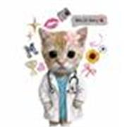 🧬 3rd Year Med Student. Making Biology Visual & Easy (Grades 6–10)