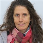 Insegnante per aiuto compiti a bambini della scuola primaria e italiano per stranieri