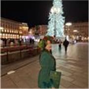 Laureata magistrale in Lingue e Culture per la Comunicazione e Cooperazione Internazionale (spagnolo e cinese)impartisce lezioni