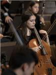 Estudiante de violonchelo en cursos superiores ofrece clases de iniciación y nivel medio