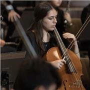Estudiante de violonchelo en cursos superiores ofrece clases de iniciación y nivel medio