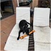 Soy un chico joven con experiencia en natación 