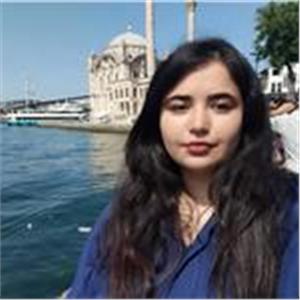 Zeynep Tok