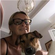 Docente scuola secondaria di I grado impartisce lezioni d’inglese e Italiano aiuto compiti recupero debiti