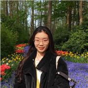 cours chinois pour tous niveaux, cours français pour les niveaux de A1- B2