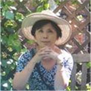 Are you looking for a native Japanese tutor?