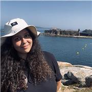 Imparto clases particulares en base a las necesidades del alumno