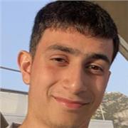 I give GCSE/A-Level Lessons in Maths and Physics