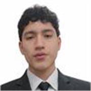 Profesor de inglés intermedio-avanzado para niños y adultos – Conversación y refuerzo