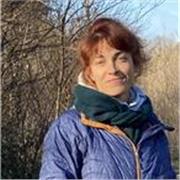Docente di filosofia e storia dell'arte impartisce lezioni private on-line