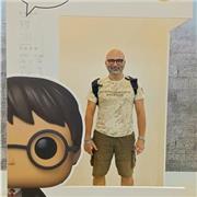 Rientrato dall'Inghilterra, impartisco lezioni per tutti i livelli.