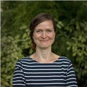 Affordable Online Wellbeing Coach for Students