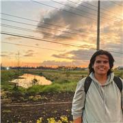 Clases virtuales y presenciales de Matemáticas de secundaria, macroeconomía, mercados financieros y matemáticas financieras