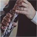 Lezione di clarinetto per bandisti, studenti di conservatorio e appassionati