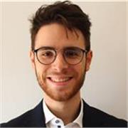 Laureando Magistrale in Ingegneria elettrica offre rietizioni di matematica e fisica per tutti i livelli