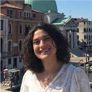 Offro lezioni private (sia online che presenziali) di matematica a Ferrara per scuole elementari, medie e superiori