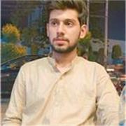 I am ACCA finalist and have expertise in finance and accounting subject.