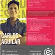 Profesor de dibujo muy adapto para todos con amplia experiencia en diseño