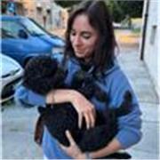 Fisica per liceo e fisica 1 per università