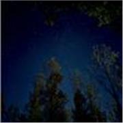 Studentessa liceale offre lezioni di inglese ad età massima di 13 anni