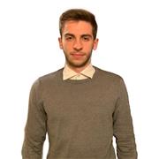 Studente universitario di informatica, Programmatore software