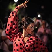 Sevillanas (con palillos-opcional) / Iniciación al baile flamenco
Clases particulares/parejas/pequeños grupos