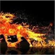 Maestro de español online para todos los niveles