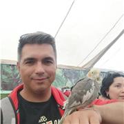 PROFESOR DE INGLES PARA NIÑOS - ADOSLESCENTES Y ADULTOS