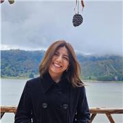 Clases claras y dinámicas de matemáticas y física para primaria, ESO y bachillerato.