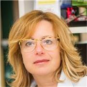 Laurea vecchio ordinamento In Lettere Moderno Indirizzo Antropologia Culturale