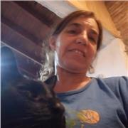 profesor de yoga con o sin experiencia laboral