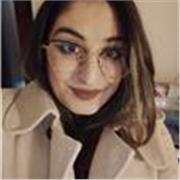 Cerchi una guida competente che ti accompagni alla scoperta della letteratura italiana? Contattami