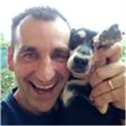 Problemi con il tuo tedesco/inglese? Offresi ripetizioni a Sedico e limitrofi