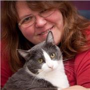 Profesor de teoría, lenguaje musical, Armonía y composición.