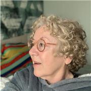 Professeur des écoles donnerait cours de FLE à distance