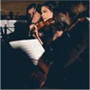 Insegno Avviamento alla Musica e Violino
