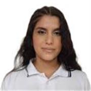 Clases de inglés para estudiantes de primaría, manejo de inglés básico