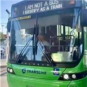 Dicto Clases Grupales De Inglés Nivel Básico Para Niños y Adultos Vía Zoom