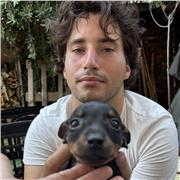 Insegnante di inglese sia in presenza che online