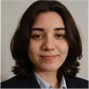 Maestro/a de Español en Línea