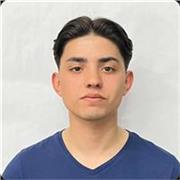 Profesor/a de matemáticas en linea