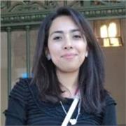 Apoyo y regularización de diferentes materias de secundaria, bachillerato, licenciatura y posgrado