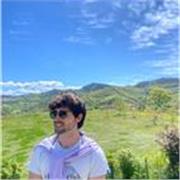 Studente al terzo anno di Ingegneria si offre per ripetizioni di Matematica e Fisica