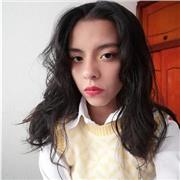 Clases particulares de la historia del arte con prácticas en técnicas