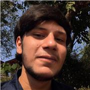 Director/Lead Tutor of a Registered UK Ed. Company | Experienced GCSE Specialist