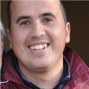 Inglés , Matemáticas , Lengua, ciencias naturales y sociales etc