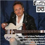 Cerchi un insegnante di Basso el.? Contattami per Lezioni online o a domicilio.